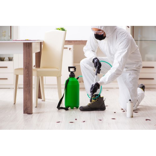 Haşere İlaçlama Hizmeti